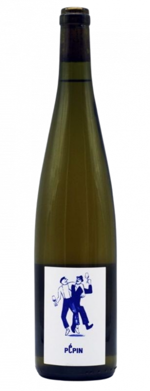 Achillée Pépin Orange