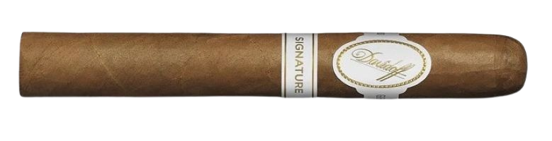 Partagas Serie D No.5